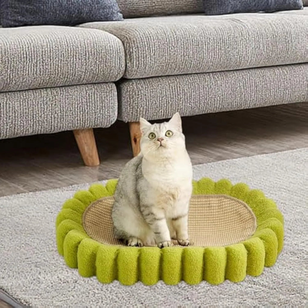 Green oval cat scratcher pad with sisal surface serving as scratching area and cat bed