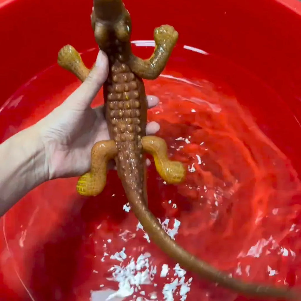 Big crocodile plastic novelty toy that expands when soaked, single piece water play item