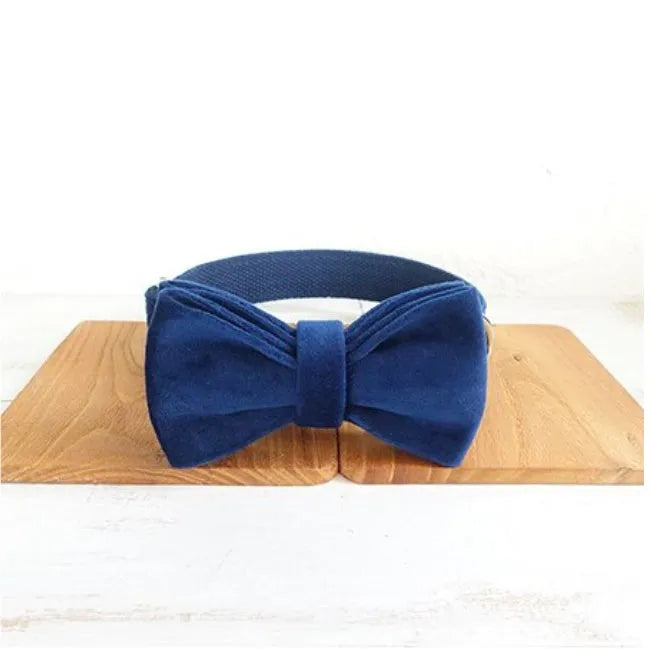 Blue velvet polyester dog collar with bow tie, in size large, for walking small and large pets