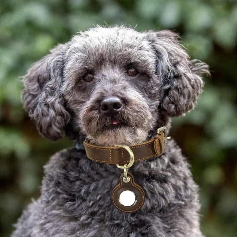 Brown retro-style dog collar with genuine cowhide leather and halter positioning system