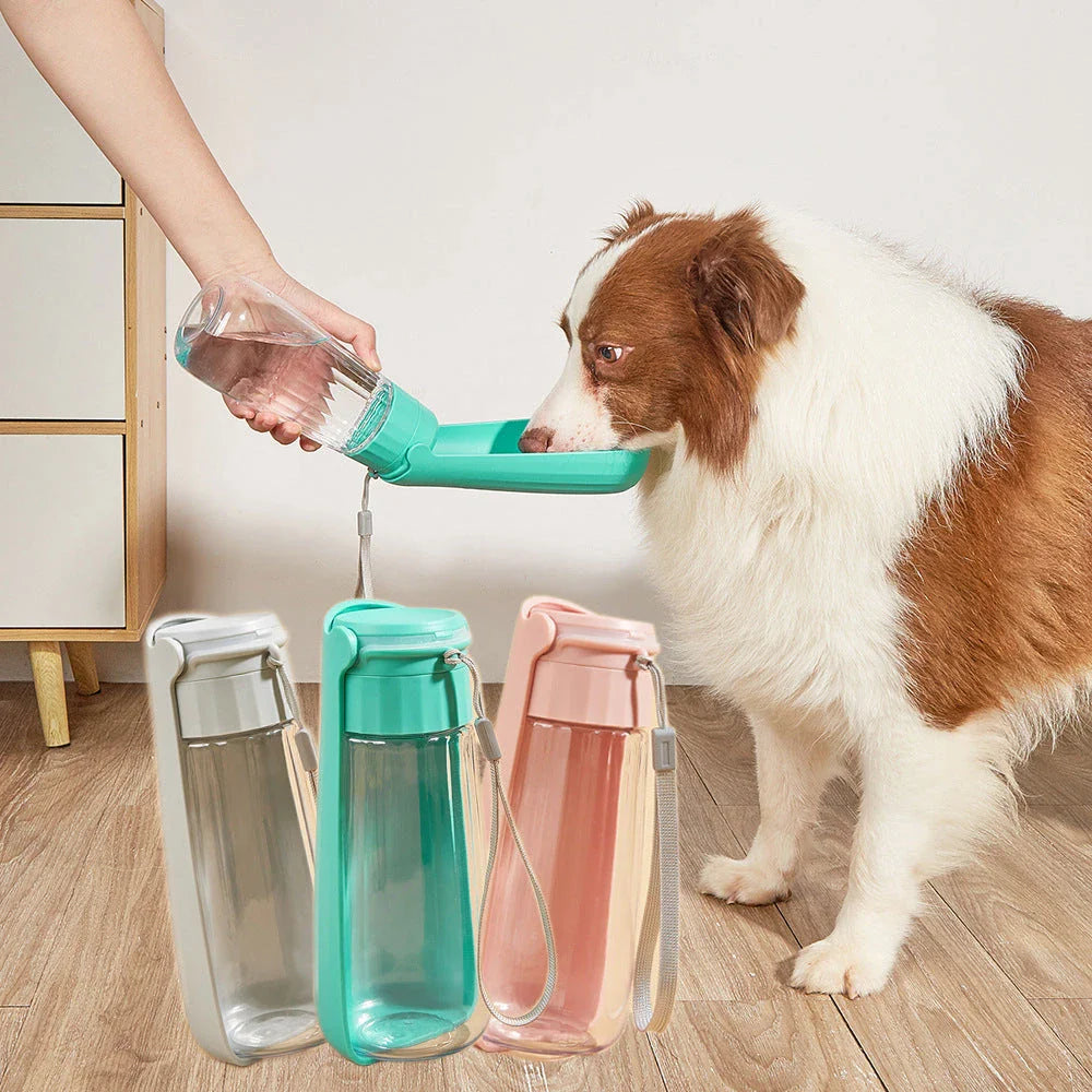 Portable outdoor dog water bottle with large 550ml capacity, available in various colors including lake blue, pink, and gray.