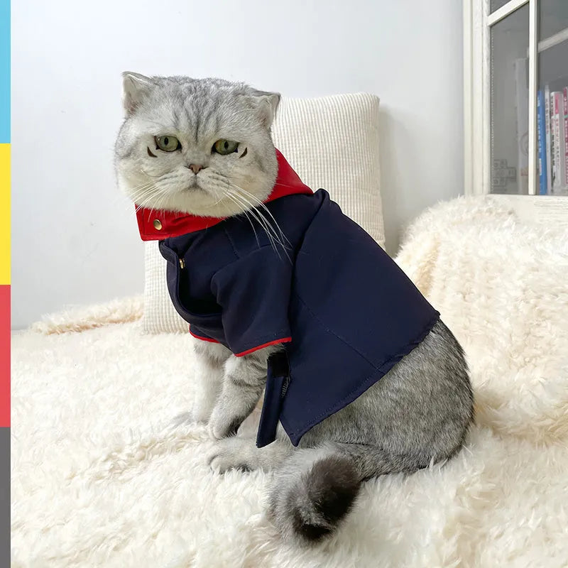 Tiger stripe pattern pet hoodie photo prop for cats and dogs on mannequin