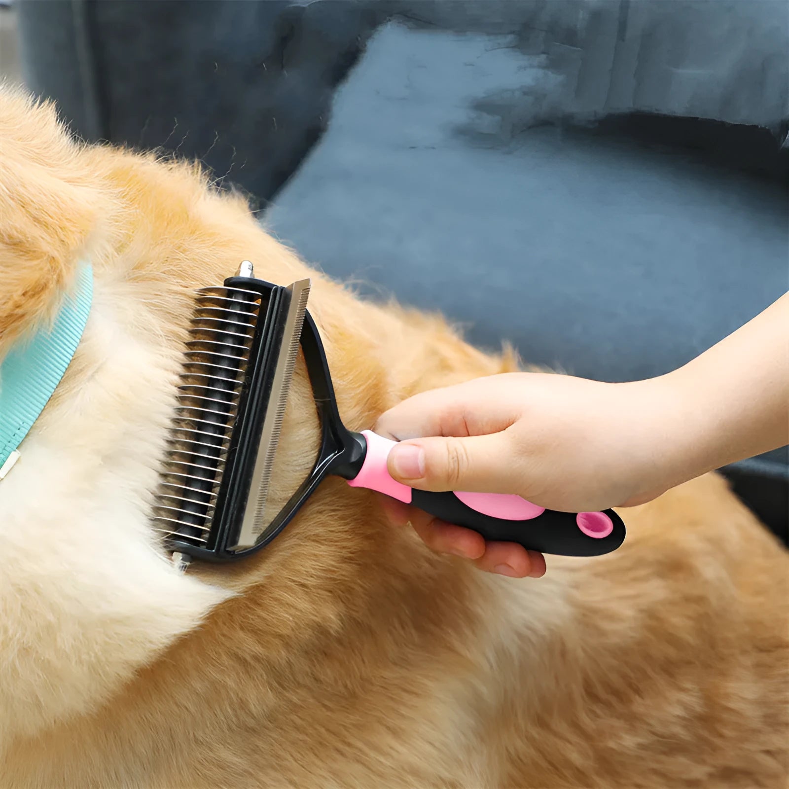Plastic dual purpose pet comb for removing floating hair and dead knots from dogs and cats, available in blue