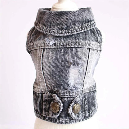 Stylish denim dog jackets and vests in a variety of designs for small pets