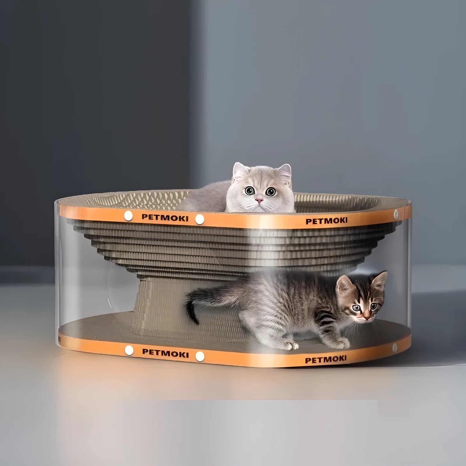 Transparent white diamond pattern cat scratch board and nest tunnel
