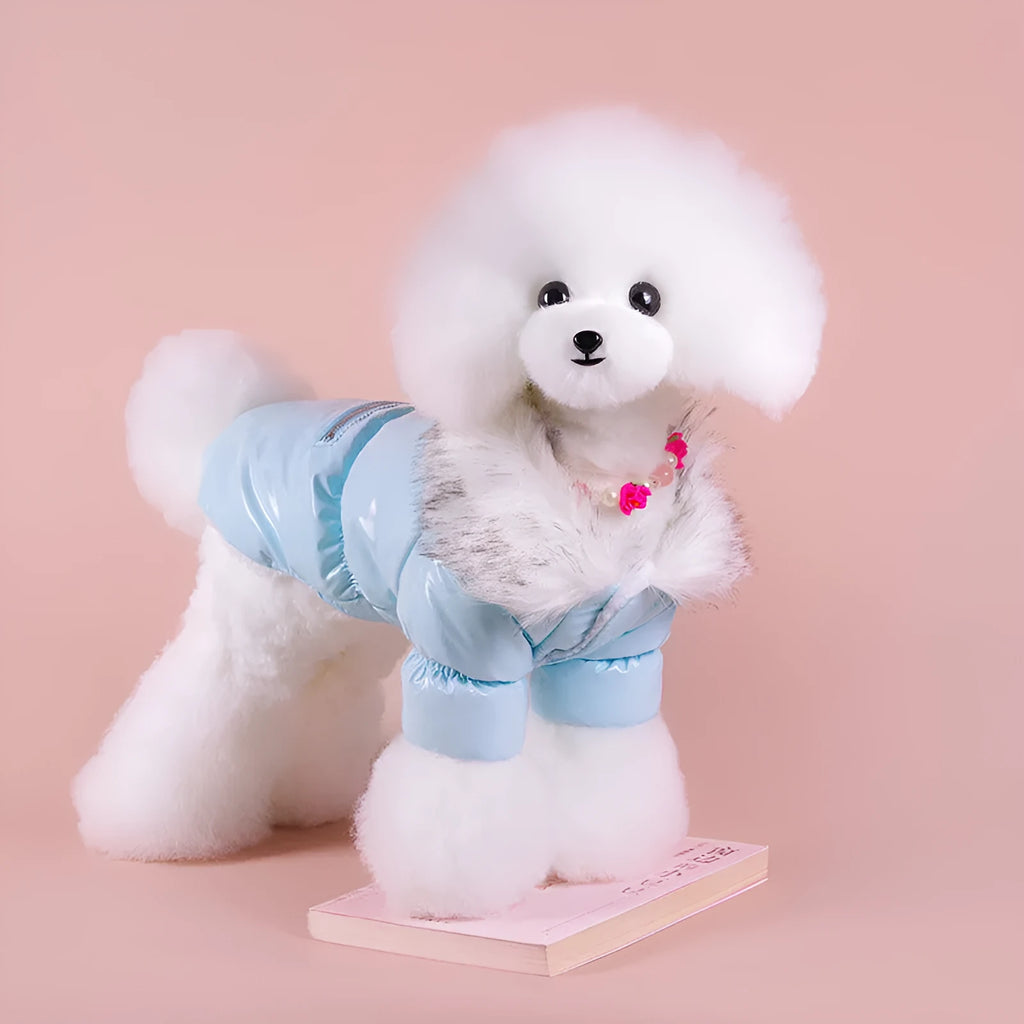 Blue British-style cotton dog jacket on a pet, showing winter coat design.