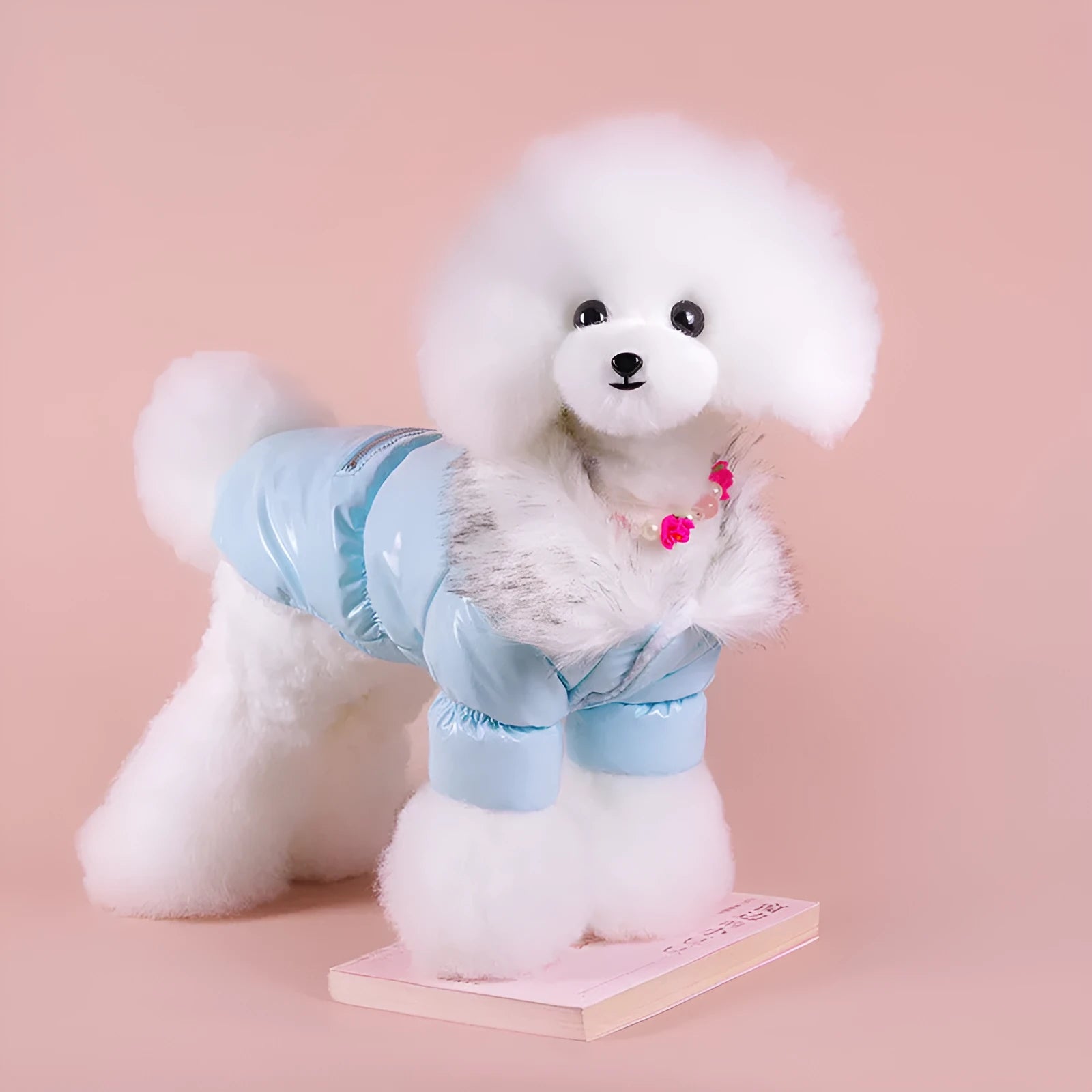 Blue British-style cotton dog jacket on a pet, showing winter coat design.