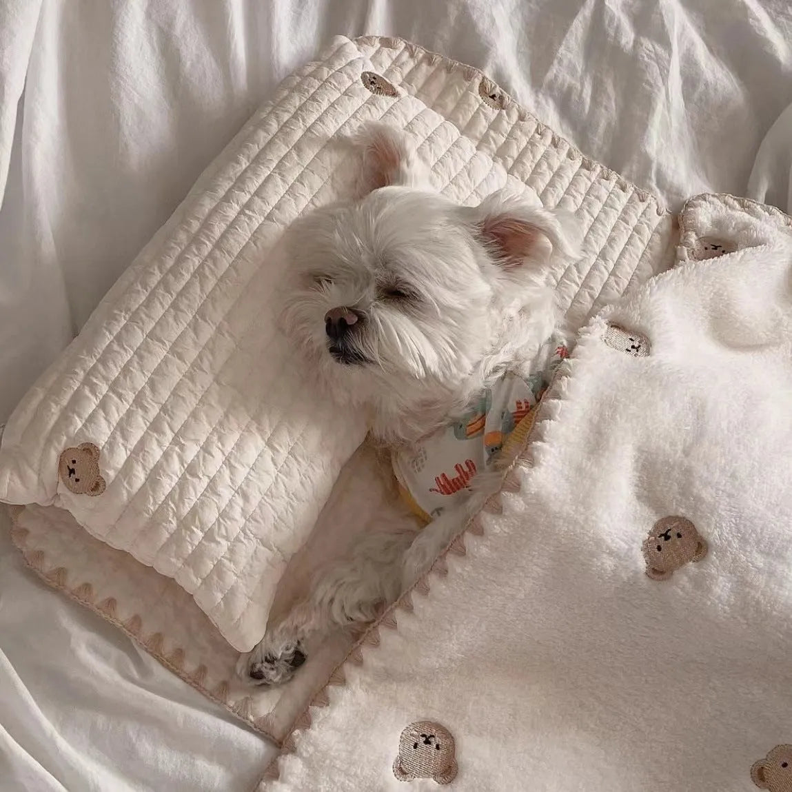 Bear-patterned dog bed set with pillow, mattress, and quilt components in removable washable design