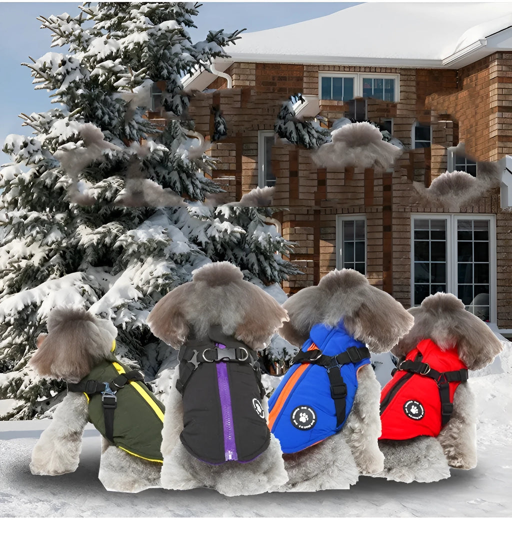 Padded dog winter jacket with a front chest strap shown in blue on a mannequin.