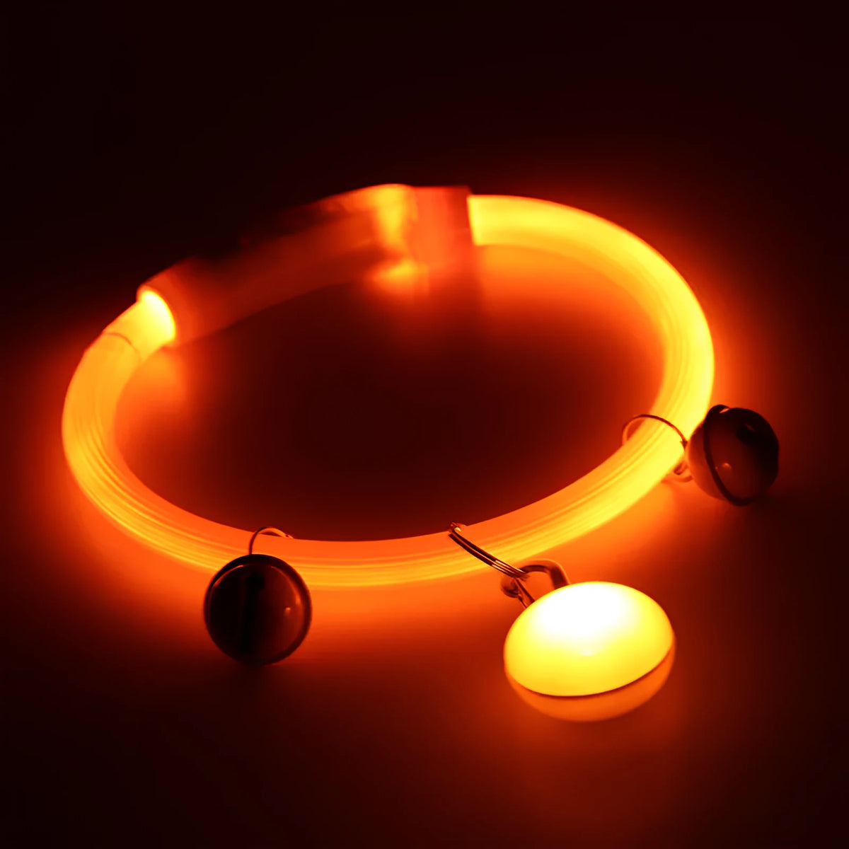 Luminous PVC dog collar in blue, green, orange, pink, red, white, yellow with S, M, L sizes