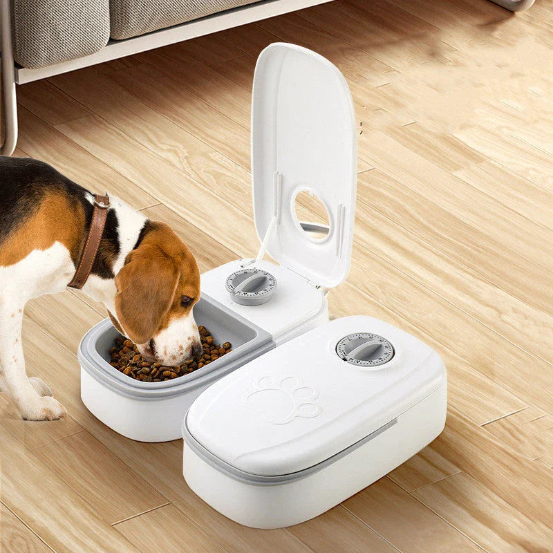 Automatic pet feeder with stainless steel bowl, gravity-powered feeding system for cats and dogs