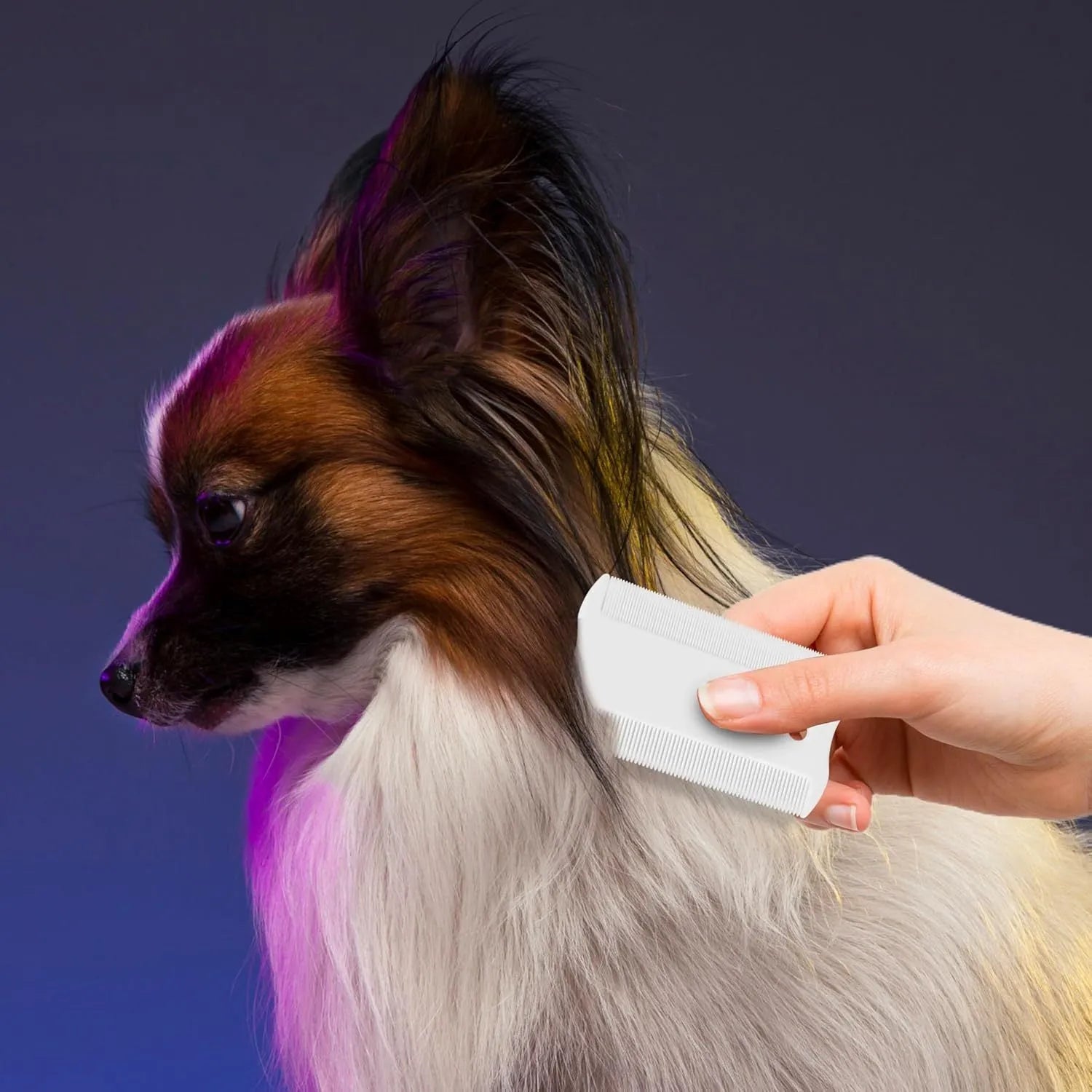 Double-sided plastic flea comb for pet facial grooming with dense teeth, measuring 0.85cm by 5cm.