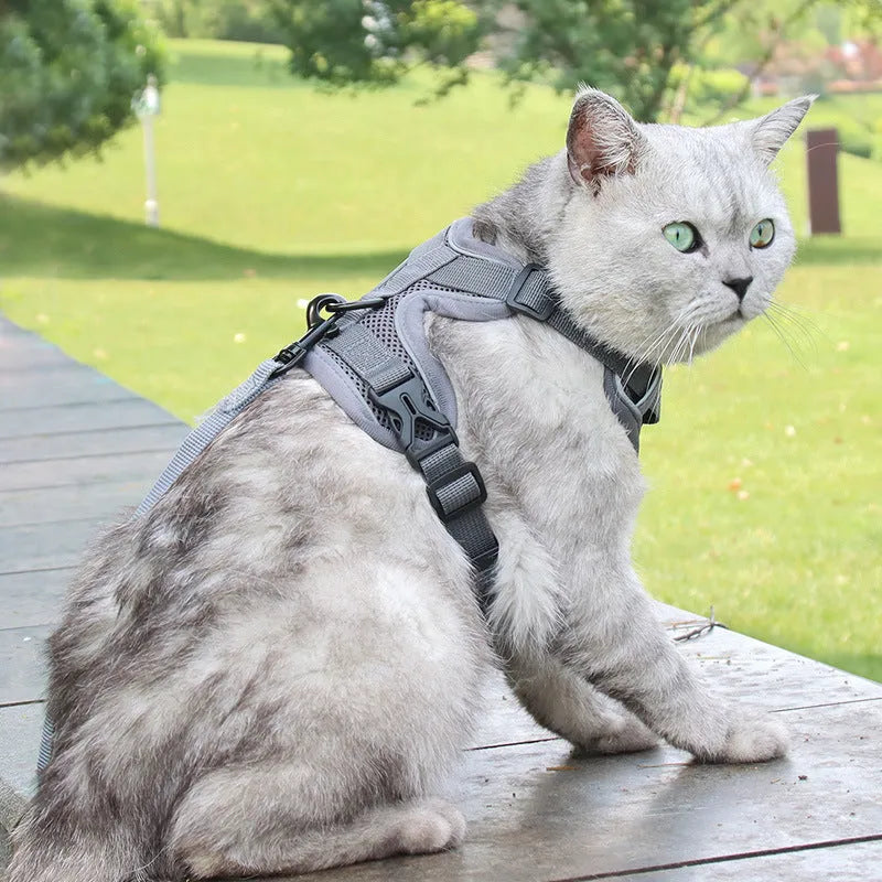 Anti-breakaway cat harness and 1.5m flat rope lead set in green on a grey background