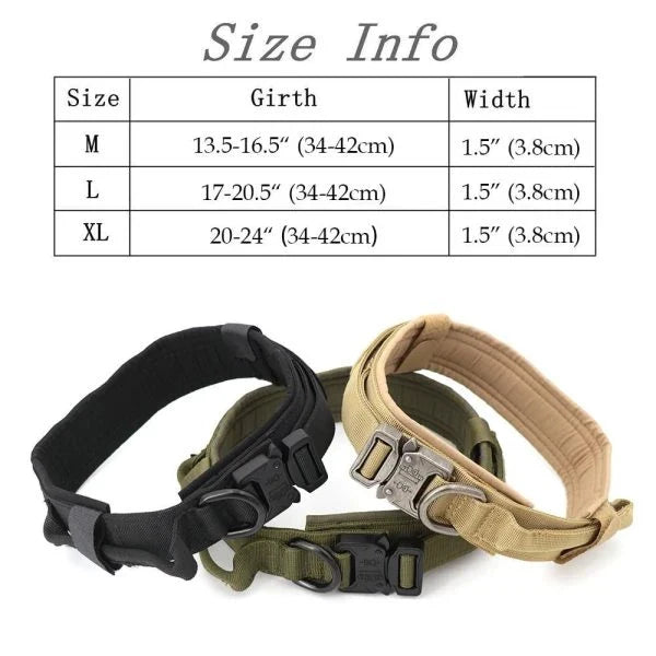 Tactical Dog Collar made of durable 1000D nylon material with soft padding, quick-release buckle, and control handle for active Kiwi dogs