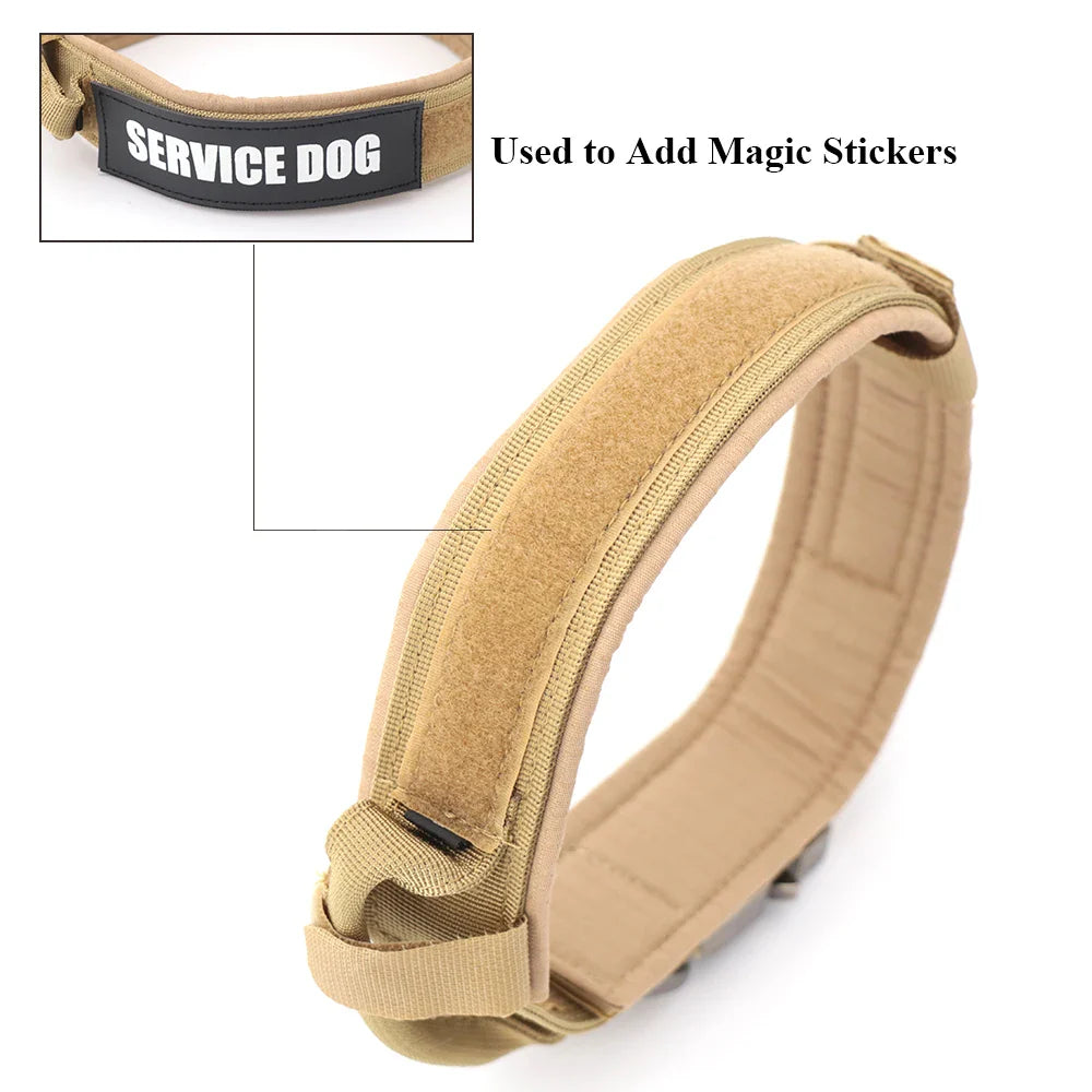 Tactical Dog Collar made of durable 1000D nylon material with soft padding, quick-release buckle, and control handle for active Kiwi dogs