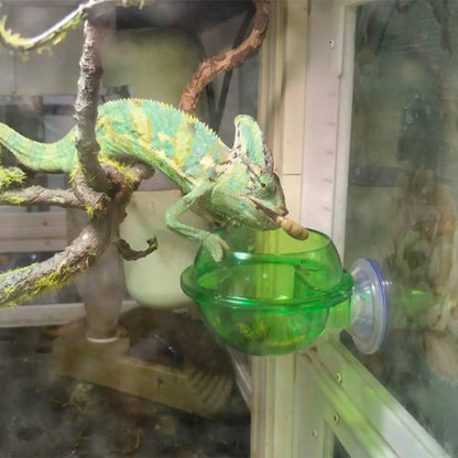 Crawler Supplies Feeder for Chameleon Lizards with Suction Cup Attachment and Adjustable Design