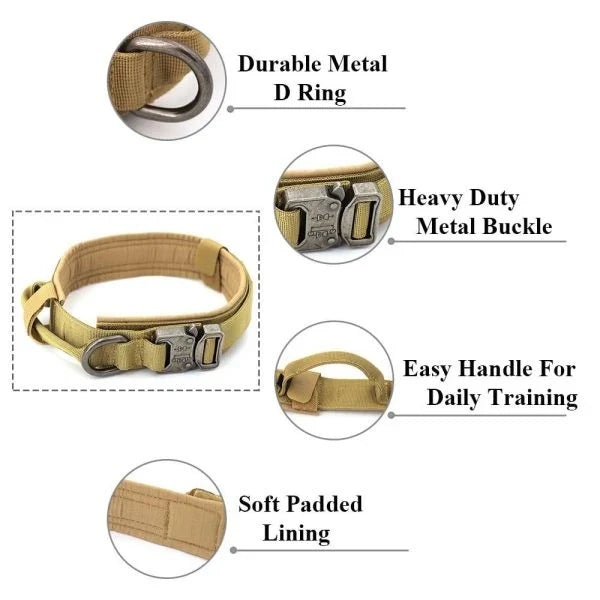 Tactical Dog Collar made of durable 1000D nylon material with soft padding, quick-release buckle, and control handle for active Kiwi dogs