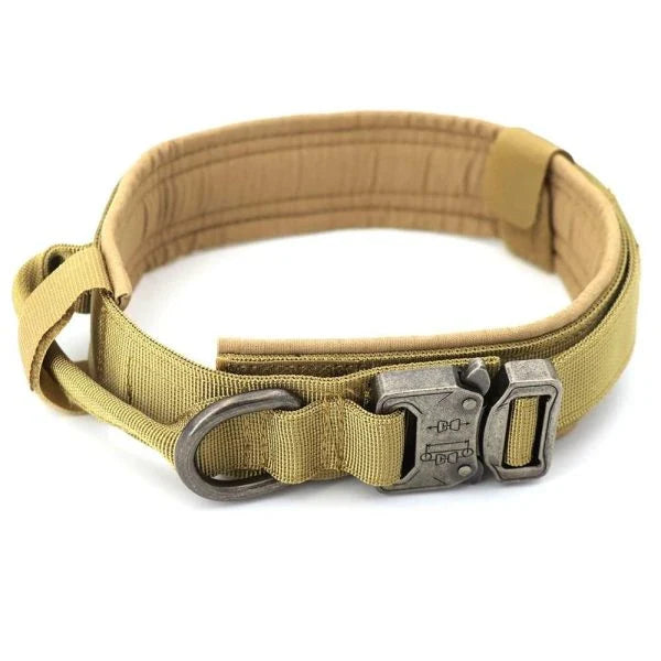 Tactical Dog Collar made of durable 1000D nylon material with soft padding, quick-release buckle, and control handle for active Kiwi dogs