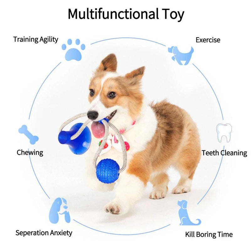 Shopprimex NZ Versatile Teeth-Cleaning Toy for Your Furry Mate