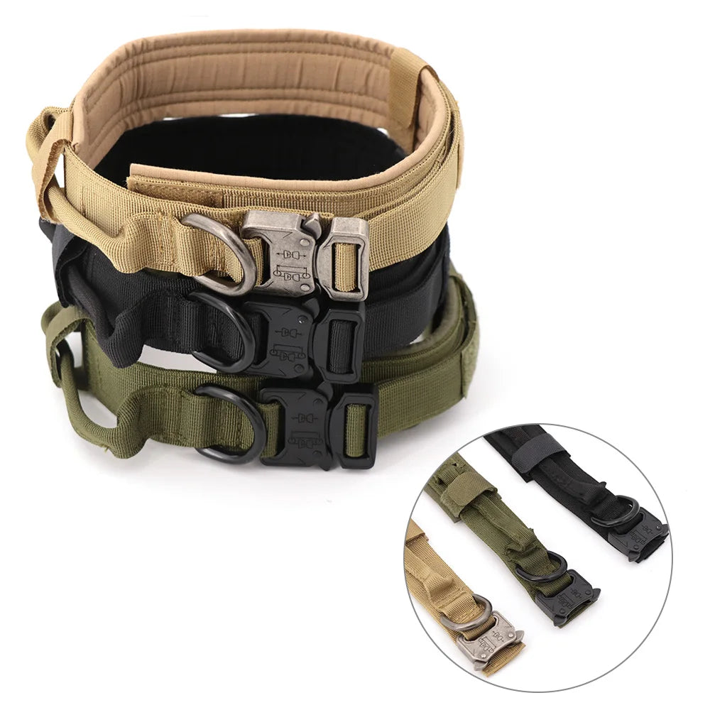 Tactical Dog Collar made of durable 1000D nylon material with soft padding, quick-release buckle, and control handle for active Kiwi dogs