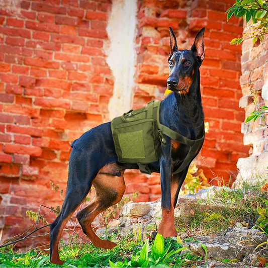 Tactical dog harness with detachable utility pouches in black and green colors, designed for outdoor adventures and service tasks