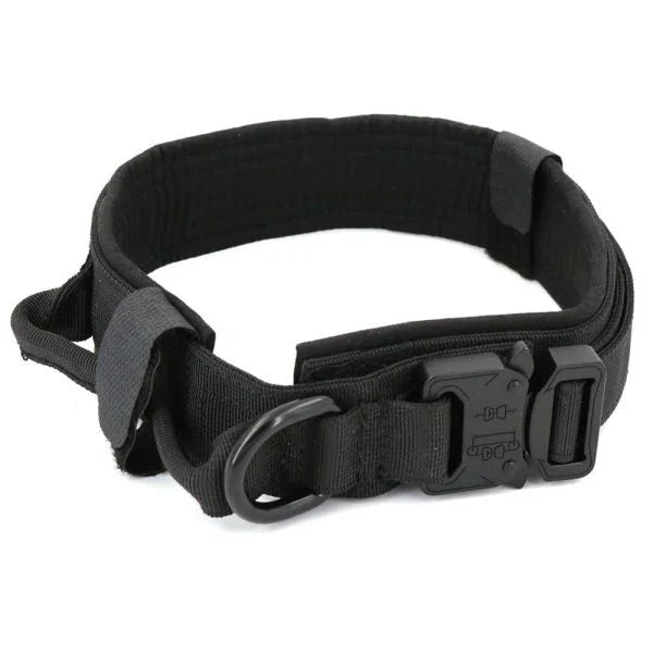 Tactical Dog Collar made of durable 1000D nylon material with soft padding, quick-release buckle, and control handle for active Kiwi dogs