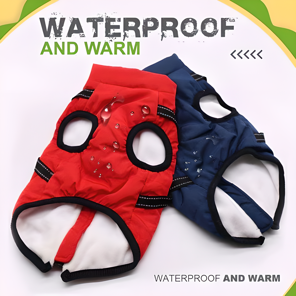 Warm and waterproof dog jacket in various colors and sizes, perfect for Kiwi pups