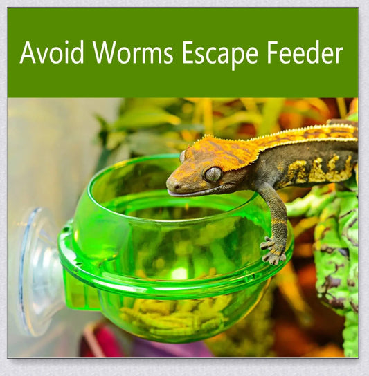 Crawler Supplies Feeder for Chameleon Lizards with Suction Cup Attachment and Adjustable Design