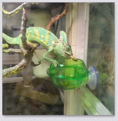 Crawler Supplies Feeder for Chameleon Lizards with Suction Cup Attachment and Adjustable Design