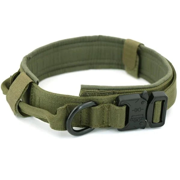 Tactical Dog Collar made of durable 1000D nylon material with soft padding, quick-release buckle, and control handle for active Kiwi dogs