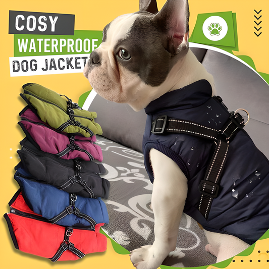 Warm and waterproof dog jacket in various colors and sizes, perfect for Kiwi pups