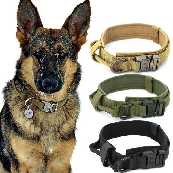 Tactical Dog Collar made of durable 1000D nylon material with soft padding, quick-release buckle, and control handle for active Kiwi dogs