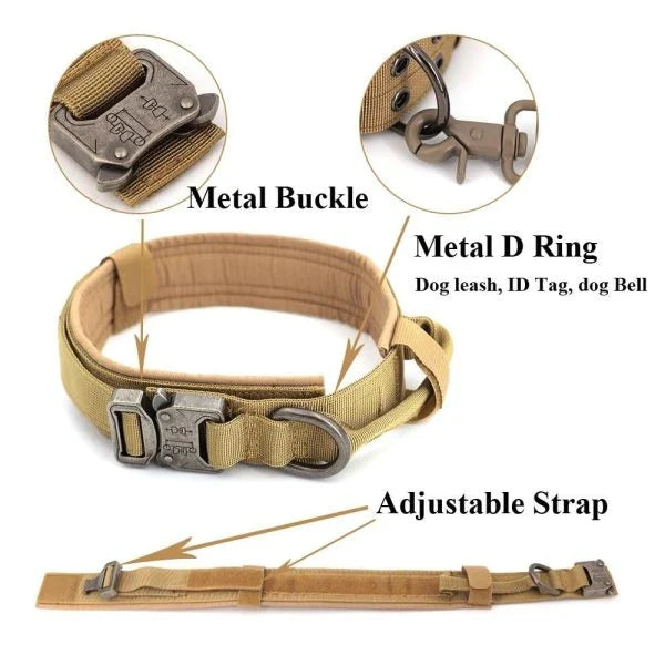 Tactical Dog Collar made of durable 1000D nylon material with soft padding, quick-release buckle, and control handle for active Kiwi dogs